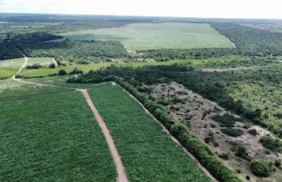 Área com 125 hectares para empreendimento imobiliários