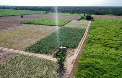 Fazenda com 47 hectares no arena terra para plantação de coqueiros e irrigação