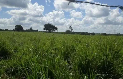 Chácara / sítio com 3 quartos à venda no Centro, Vera Cruz 