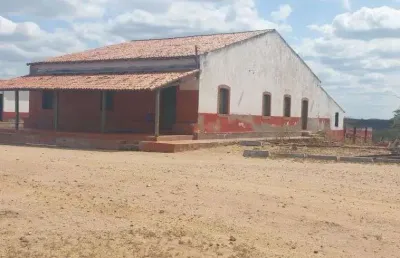 Chácara / sítio com 3 quartos à venda em Paizinho Maria, Currais Novos 