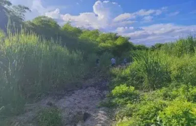 Fazenda com 55 hectares em são josé de mipibu frente para br101