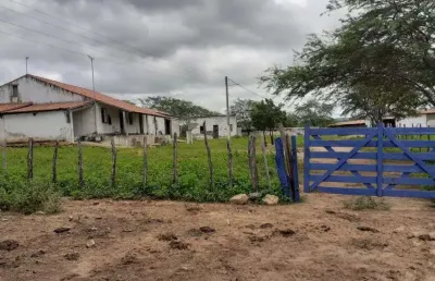 Fazenda com 500 hectares em currais novos com ascesso na br226 uma oportunidade excelente