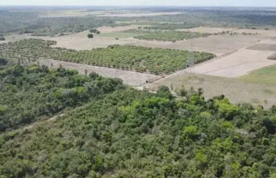 Fazenda com 1.300 hectares na região de rio do fogo