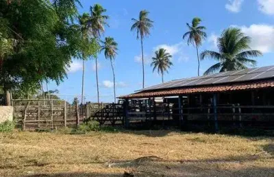 Chácara / sítio com 3 quartos à venda no Centro, Ceará-Mirim 