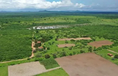 Fazenda/sítio/chácara com 320 hectares próximo a cidade área excelente para quais quer atividade