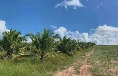 Excelente fazenda com 40 hectares na região de arês 1 km da br101