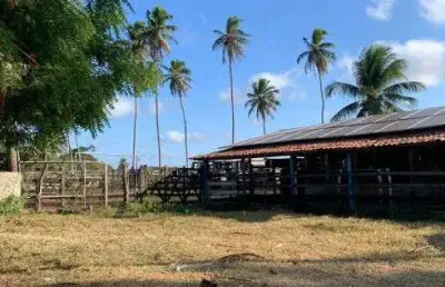 Excelente fazenda com 30 hectares no vale de ceará mirim