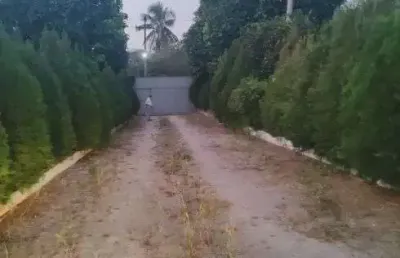 Granja com 4 hectares no villagio dos coqueiros próximo a monte alegre