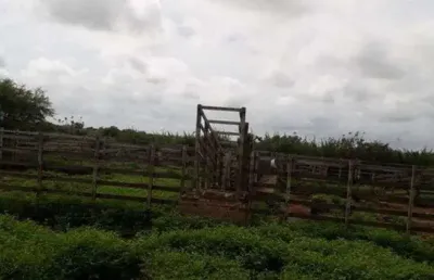 Linda fazenda com 500 hectares na região de parazinho com projeto de 9 torres eólica