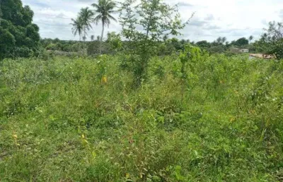 Fazenda com 200 hectares na região de são gonçalo do amarante