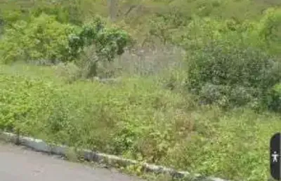 Fazenda com 36 hectares com licença para exploração de pedreira