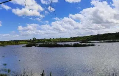 Chácara / sítio com 3 quartos à venda no Centro, Vera Cruz 