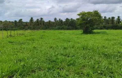 Fazenda com 1.000 hectares de porteira fechada na região de vera cruz grande natal