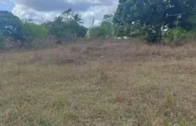 Chácara / sítio com 3 quartos à venda no Centro, Pedro Velho 