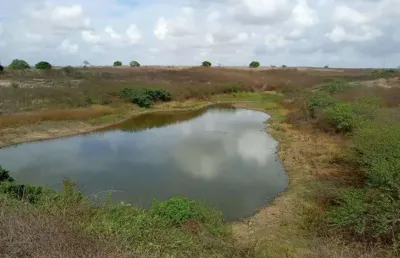 Fazenda com estrutura com 400 hectares na região de macaíba