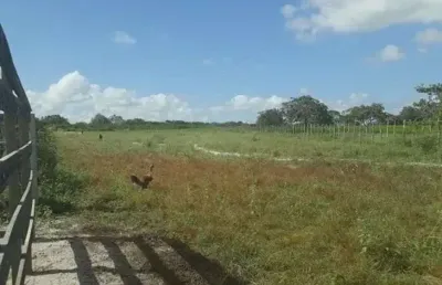 Chácara / sítio com 3 quartos à venda no Centro, Vera Cruz 