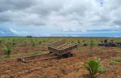 Fazenda/sítio/chácara para venda tem 2 metros quadrados em centro - touros - rio grande do norte