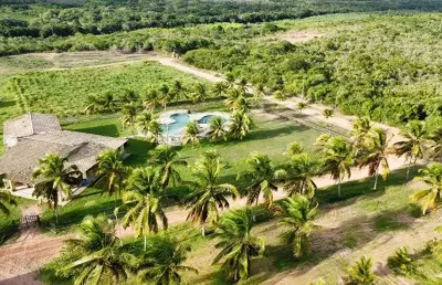 Fazenda com 92 hectares de dom marcílio com 4.300 pés de coqueiros híbridos um luxo de estrutura