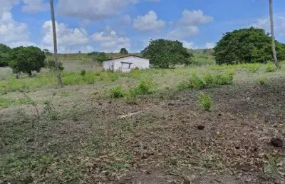 Fazenda com 150 hectares na região de são gonçalo do amarante