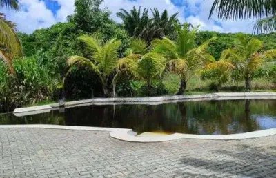 Fazenda com 80 hectares entre goianinha e canguaretama um oásis de luxo