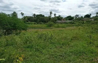 Fazenda com 200 hectares na região de são gonçalo do amarante