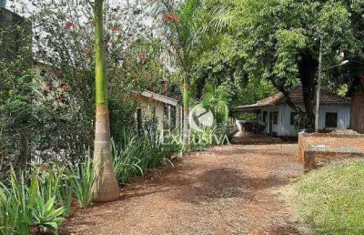 Chácara com 2 quartos à venda, 24200 m²  - jardim capricornio - rolândia/pr