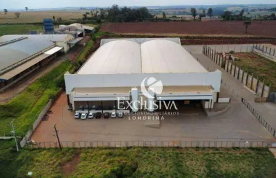 Barracão à venda, 7500 m² -  zona rural - arapongas/pr
