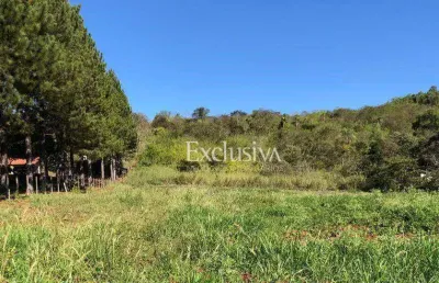 Chácara à venda, 20000 m² - fazenda chácaras itauna - ibiporã/pr
