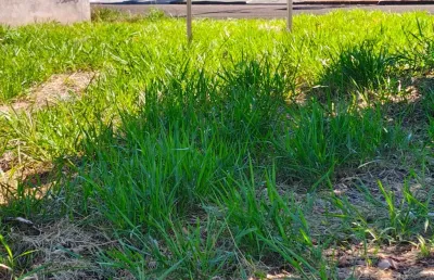 Lindo terreno comarcial de esquina, plaino otima localização -proximo avenida mandacaru-maringá-pr