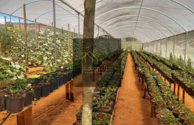 Chácara / sítio com 2 quartos à venda no Couto, Bragança Paulista 