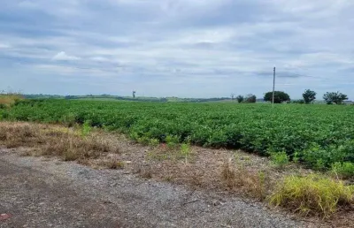 Lote/terreno para venda tem 290000 metros quadrados em graminha - limeira - sp
