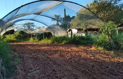 Fazenda/sítio/chácara para venda possui 100000 metros quadrados com 7 quartos