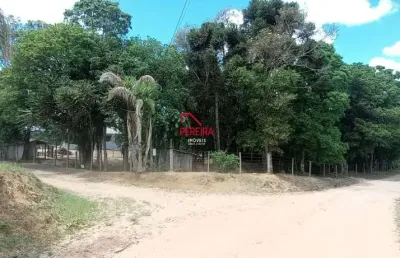 Chácara / sítio com 1 quarto à venda na estrada principal, s/n, campestre dos paulas, mandirituba por r$ 265.000