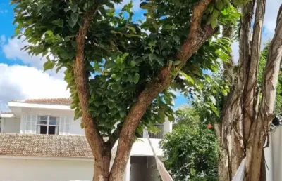Casa com 4 quartos à venda no Jardim Botânico, Curitiba 