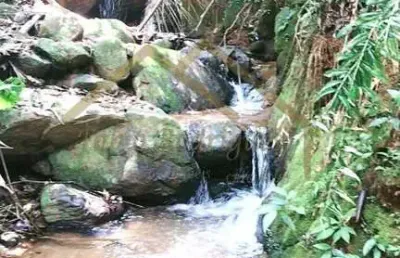 Sítio para venda em ilhota, alto baú, 2 dormitórios, 1 banheiro, 1 vaga