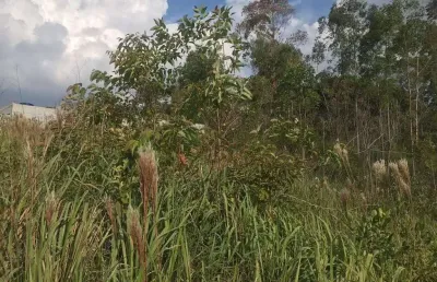 Terreno à venda na Rua Francisco Antonio Brilha, Centro, Mairiporã