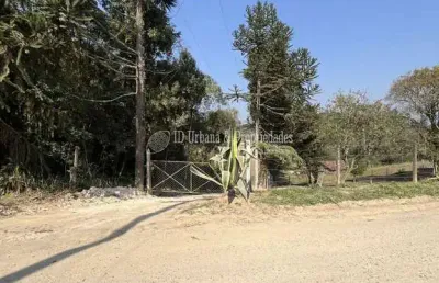 Chácara à venda no bairro felpudo em campo largo/pr