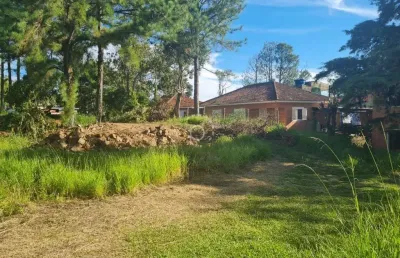 Terreno à venda na rua amapá, 1262, vila nova, porto alegre por r$ 2.000.000
