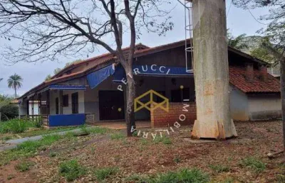 Chácara com 1 dormitório à venda, 3500 m² por r$ 2.200.000,00 - betel - paulínia/sp