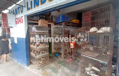 Terreno à venda na Rua das Acácias, Chácara Contagem, Contagem