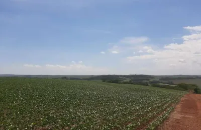 Chácara / sítio à venda na Área Rural de Sarandi, Sarandi 