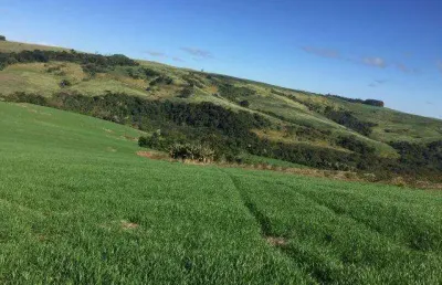 Fazenda para venda em rio branco do ivaí, zona rural