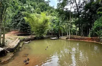 Chácara / sítio com 4 quartos à venda no Vale da Estação, Domingos Martins 