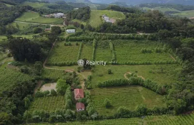 Terreno à venda na estrada do sabor, 12, vale dos vinhedos (distrito), bento gonçalves por r$ 3.200.000