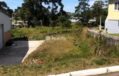 Terreno à venda na linha vitória, 12, alfândega, garibaldi por r$ 341.000
