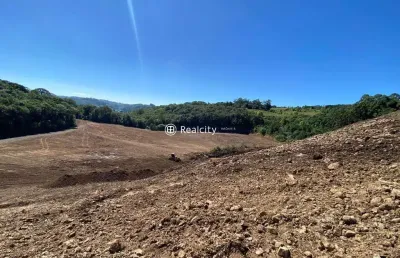 Terreno comercial à venda na rs-453, km 18 - linha rio burati, 3, nova sardenha (distrito), farroupilha por r$ 999.000