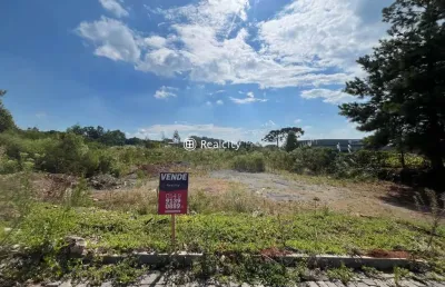 Terreno comercial à venda na domingos de marchi, 2, garibaldina, garibaldi por r$ 2.795.000