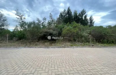 Terreno à venda na linha são roque figueira de melo, 86, alfândega, garibaldi por r$ 208.000