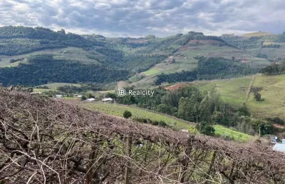Terreno à venda na linha fernandes lima, 12, faria lemos (distrito), bento gonçalves por r$ 789.000