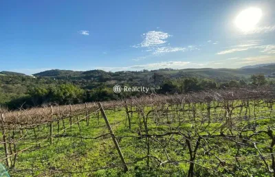 Terreno à venda na linha santa lucia, 4, vale dos vinhedos (distrito), bento gonçalves por r$ 550.000